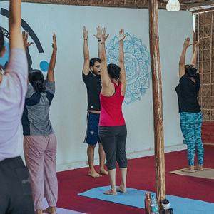 200 MULTI STYLE HATHA YOGA TEACHER TRAINING COURSE